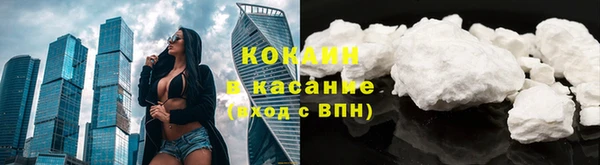 прущие грибы Алексеевка