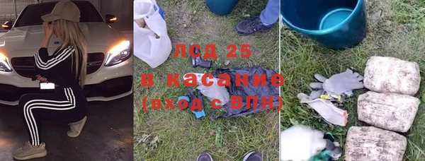 прущие грибы Алексеевка