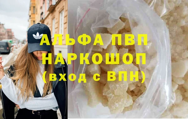 сатива Ростов